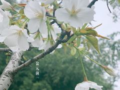 -鸡鸣寺