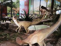 -湖南省地质博物馆