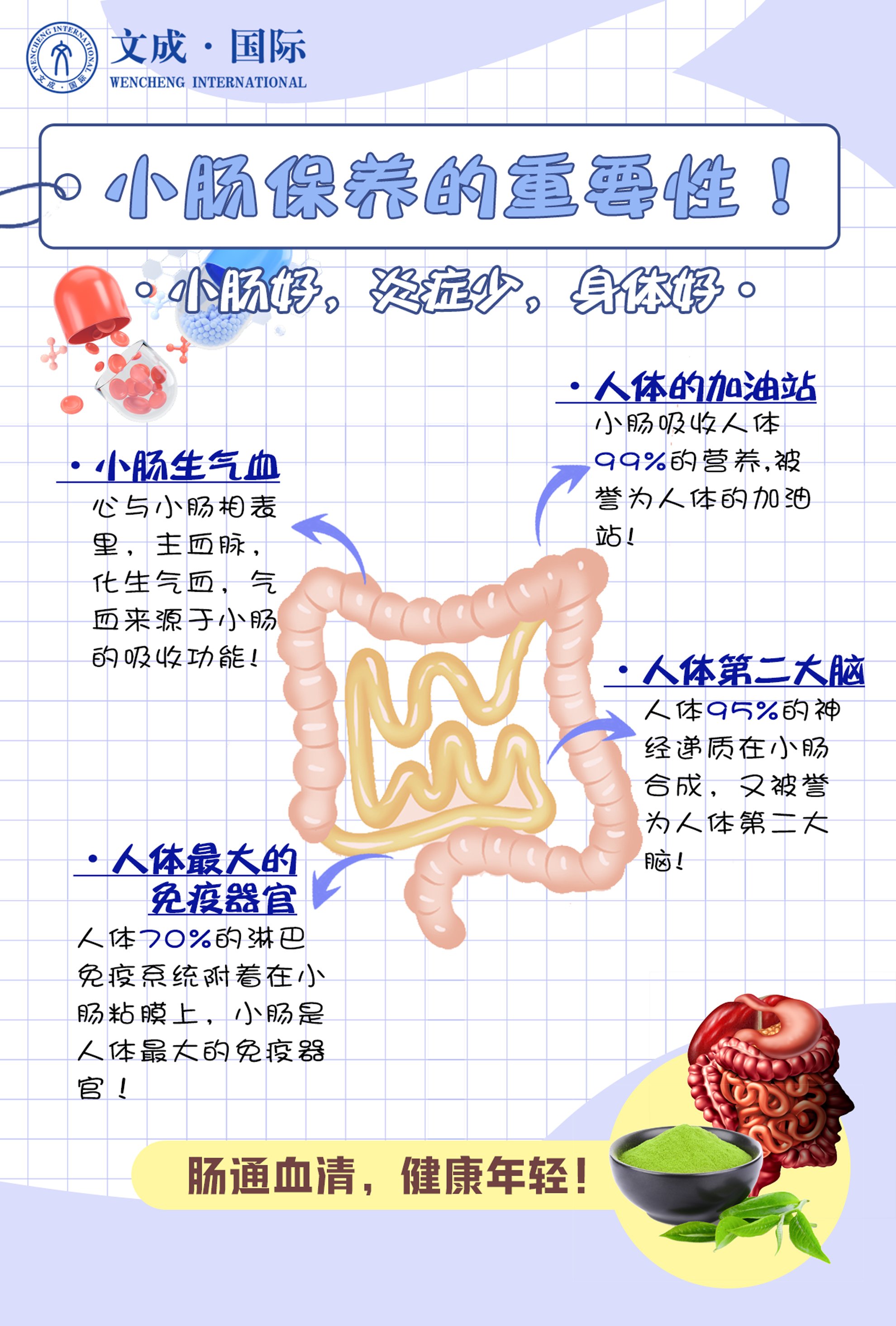 天天领红包 肠道排毒的重要性[便便]