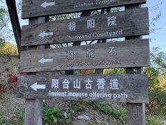 -阳台山自然风景区