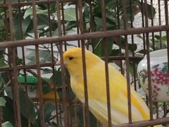 -老味道民宿(栈桥店)