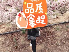 -樱花山风景区