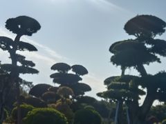 -南宁南湖公园