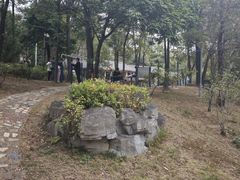 -红花湖景区