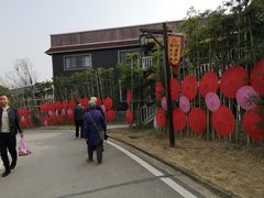 -武汉紫薇都市田园