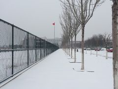 -南开大学滨海学院