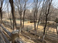 -青藏高原野生动物园