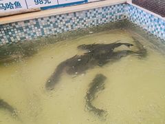 -锅老头海鲜铁锅炖
