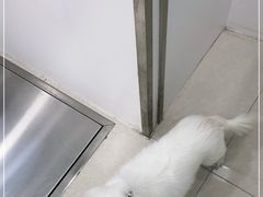 -佳雯宠物医院(四明中路分院)