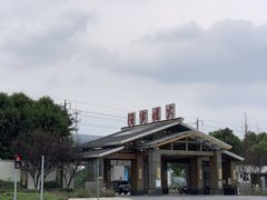 -渔家灯火娱乐城(前进西路店)