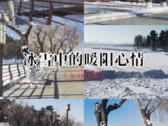 -长春市南湖公园