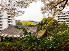 -乌山风景区