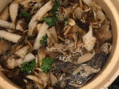 -天宜隆蘑菇宴火锅(石景山旗舰店)