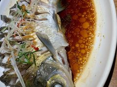 -7017浙菜•建德味(中财店)
