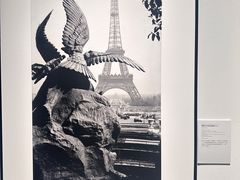 -上海宝龙美术馆