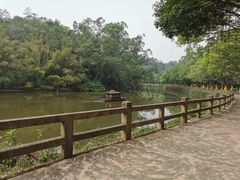 -李小龙乐园(顺德均安店)