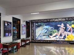 -庐山恋影院(河西路店)