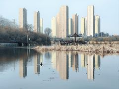 -前关湿地公园