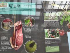 -国家植物园南园