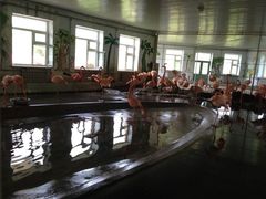 -哈尔滨北方森林动物园