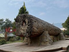 -国家植物园南园