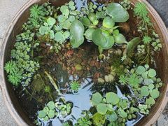 -川匠·睡眠采耳·SPA(九眼桥店)