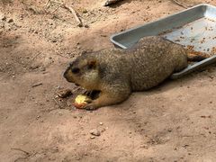 -鄂尔多斯野生动物园