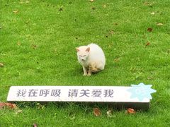 -苏州河梦清园环保主题公园