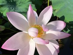 -上海交通大学(闵行校区)