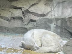 -海合安成都极地海洋公园