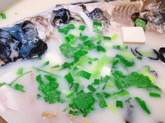 姜君千岛湖鱼头-姜君·千岛湖鱼头馆(浦东大道店)