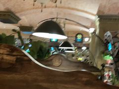 -凯撒城堡西餐厅(颐和国际店)