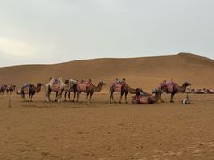 -银肯塔拉沙漠生态旅游景区