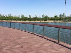 -永定河休闲森林公园