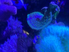 -太平洋海底世界