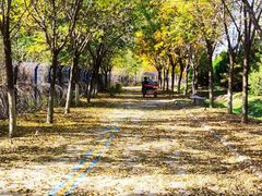 -永定河休闲森林公园