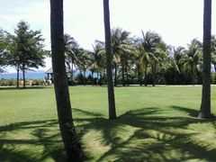android_upload_pic-三亚亚龙湾红树林度假酒店