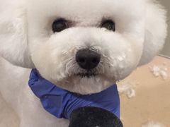 -艾贝尔宠物医院·24H转诊中心·肿瘤猫专科(江宁双龙店)