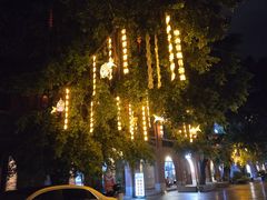 -秋凤鱼丸(金鼎总店)