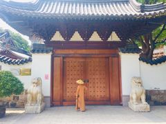 -普陀山风景名胜区-法雨禅寺