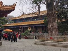 -普陀山风景名胜区-法雨禅寺