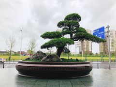 -上海宝华喜来登酒店·采悦轩中餐厅
