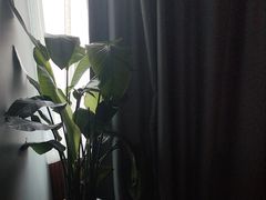 -沐森 •疗愈头疗馆(打浦桥店)
