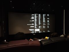 -英皇电影城(英皇集团中心IMAX店)