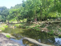 -武汉姚家山旅游景区