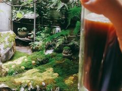 -植觉