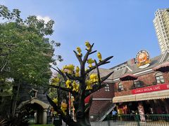 -史努比缤纷世界
