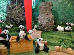 -济州岛泰迪熊博物馆