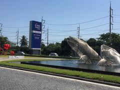 -王权免税店(普吉市区店)