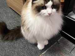 -零纪元VR体验馆·桌游(黄浦店)